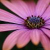Oordelen over ziek zijn bloem_roze_tomoff