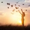 Haal het beste uit je hooggevoeligheid 61706692_woman-praying-and-free-bird-enjoying-nature-on-sunset-background-539x363-q40
